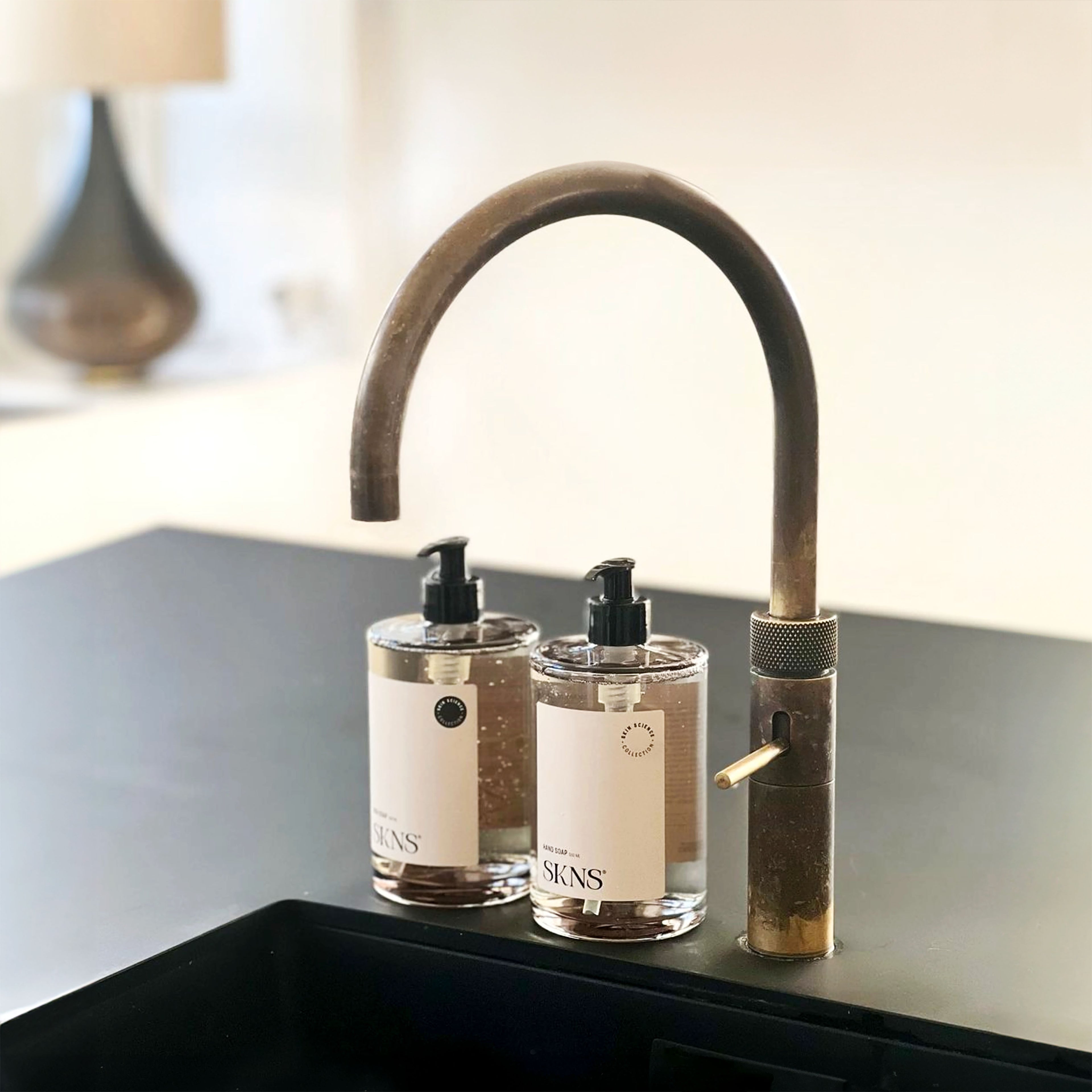 Cleaning Essentials Kit